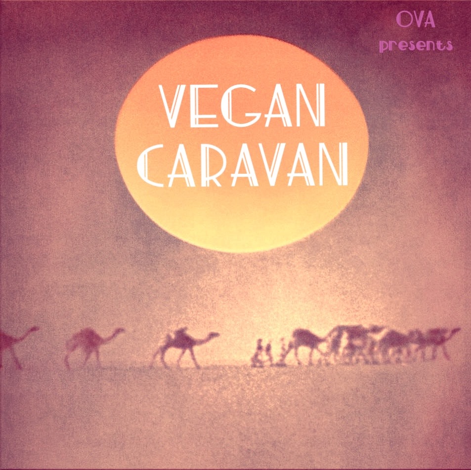 vegan,okinawa,vegancaravan